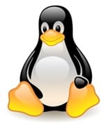 Linux: An Open-Source Dynamic