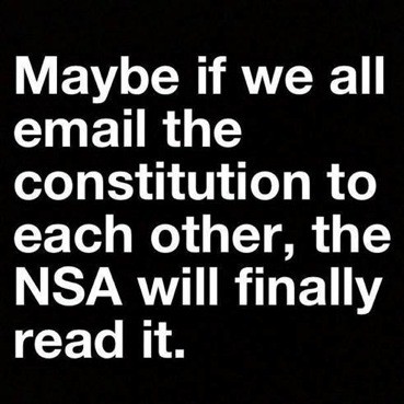 NSA-Consitution