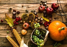 Thanksgiving: A Civil Religious Celebration